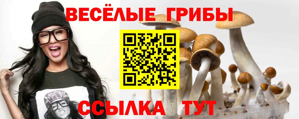 Новочеркасск  Галлюциногенные грибы ЛСД  Вход с VPN 